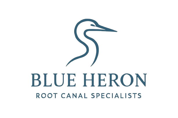 Blue Heron Root Canal Specialists Logo