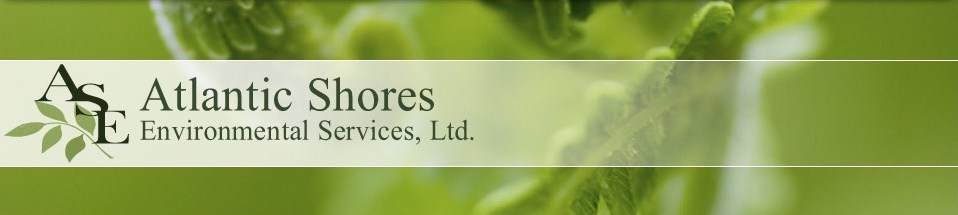 Atlantic Shores Environmental Home