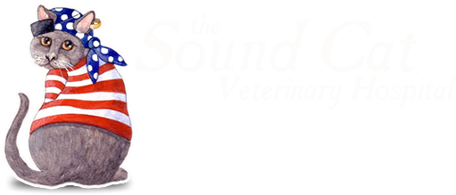 The Sound Cat