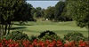 champ image 990334