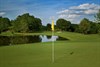 champ image 1096197