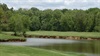 champ image 991338