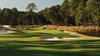 champ image 966482